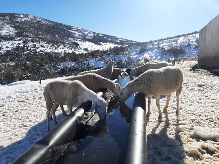 AMIGOS EN LA NIEVE!!!!