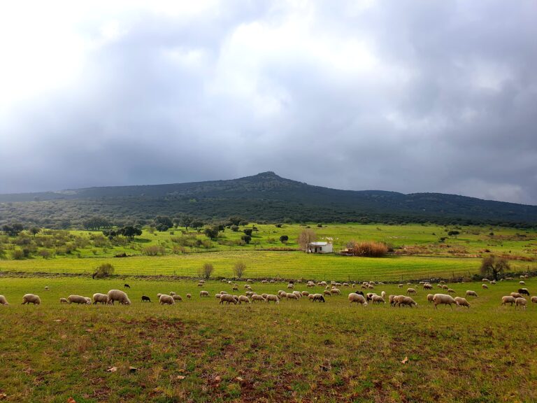 PAISAJE